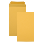 CMB ENV LCK STK P5 PKT 120X65 GLD BX999