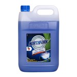 GECA TOILET URINAL CLEANER 5L
