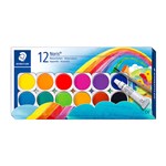 STAED NOR WC PAINT TRAYBRUSH