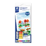 STAED WCOLOUR PAINT ASST BX12