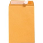 CUMBERLAND ENVELOPES POCKET 380X255 100GSM STRIP SEAL GOLD BOX 250