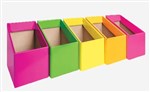 BOOK BOX  PACK OF 5  FLUORO MIX 