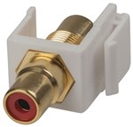 SKT RCARCA RED KEYSTONE INSERT GLD