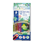 NORIS COLOUR COLOURED PENCILS BOX 11